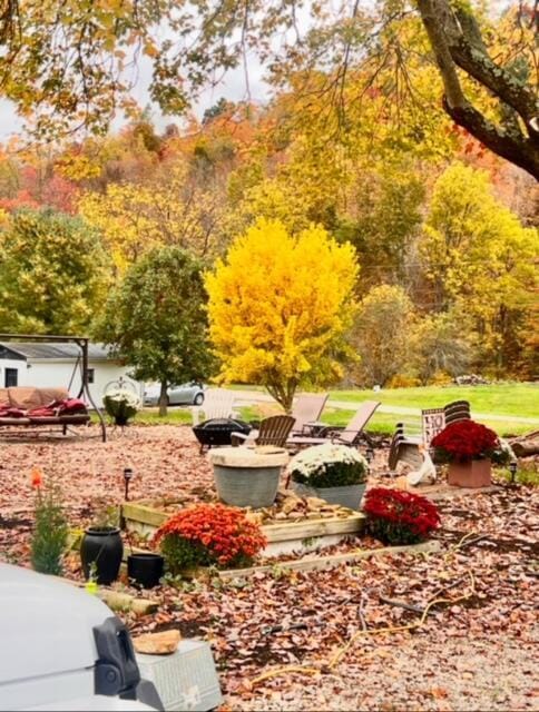 884 Rapp-Montgomery Rd Unit C627, Lucasville, OH 45648 - view of community
