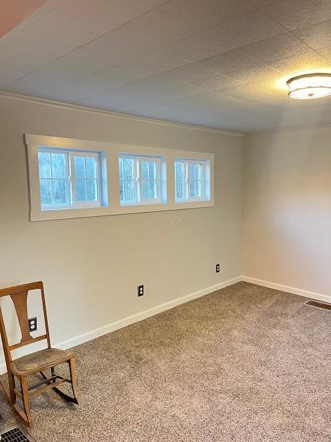 interior space with crown molding and carpet floors