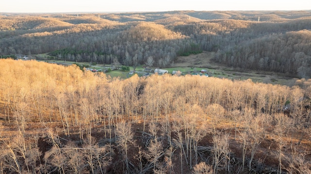 birds eye view of property featuring a rural view