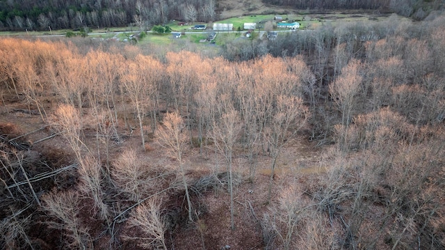 drone / aerial view featuring a rural view