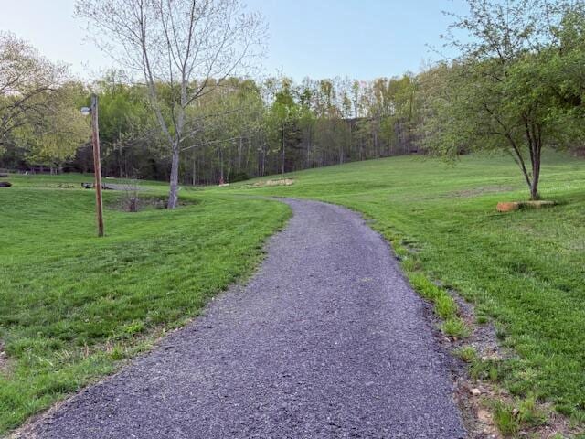 surrounding community with a view of trees and a yard