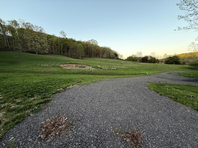 view of community with a lawn