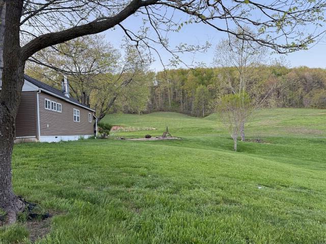view of yard with a view of trees