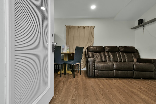 living room featuring wood-type flooring