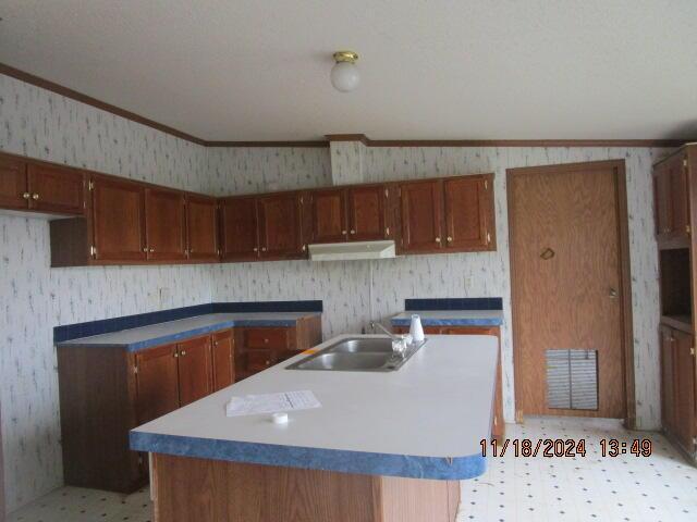 kitchen with lofted ceiling, sink, crown molding, and an island with sink