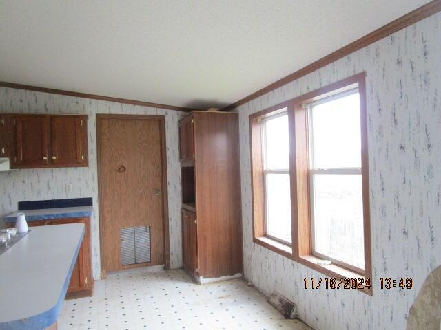 kitchen with plenty of natural light, crown molding, and vaulted ceiling