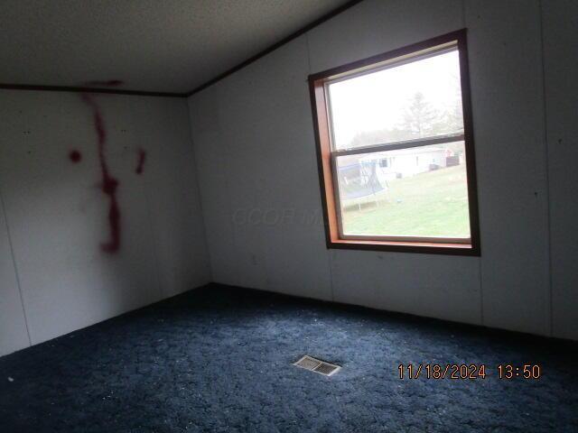 additional living space featuring plenty of natural light, carpet floors, and a textured ceiling