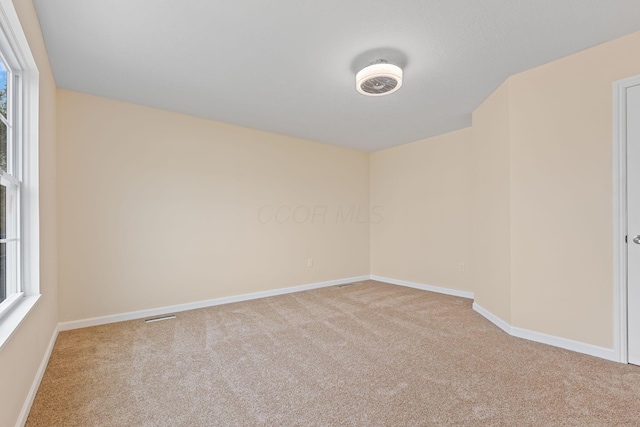 spare room featuring carpet floors and a wealth of natural light