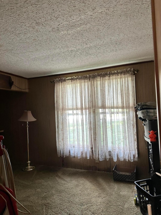 interior space with a textured ceiling, carpet floors, and wooden walls