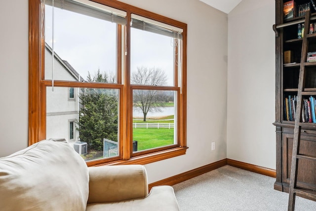 living area with carpet flooring, a water view, and a wealth of natural light