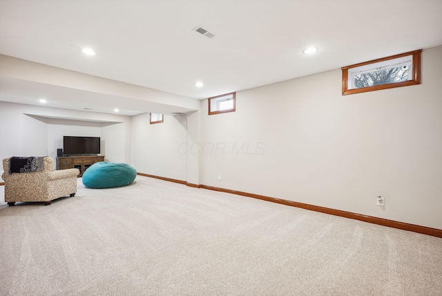 basement featuring carpet floors