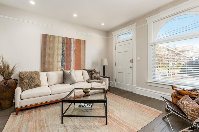 living room featuring hardwood / wood-style flooring