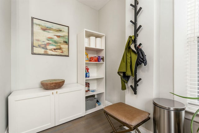 mudroom with dark wood-type flooring