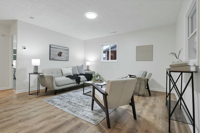 living room featuring wood-type flooring and a textured ceiling