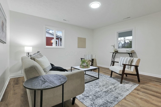 living room featuring plenty of natural light and hardwood / wood-style floors