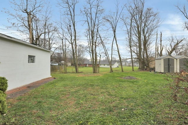 view of yard with a storage unit