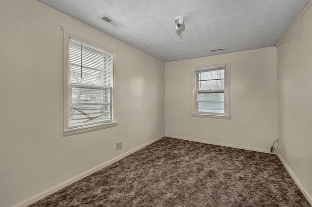 carpeted empty room featuring a textured ceiling and a healthy amount of sunlight