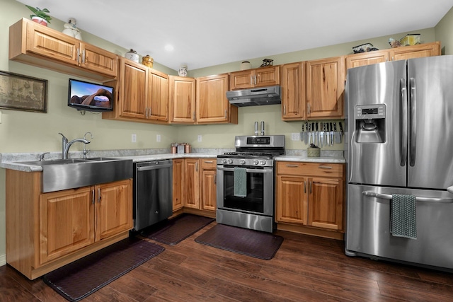 kitchen featuring sink, dark hardwood / wood-style floors, and appliances with stainless steel finishes