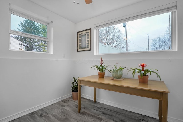 office area featuring ceiling fan and dark hardwood / wood-style floors