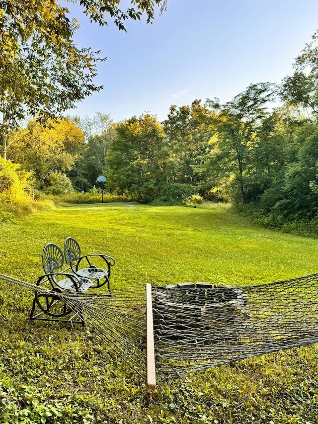 6850 Newark Rd, Nashport, OH 43830 - photo 5