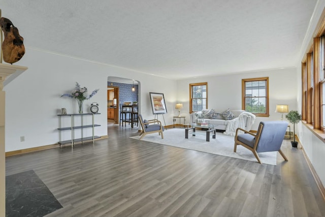 living room with a textured ceiling, dark hardwood / wood-style floors, and ornamental molding