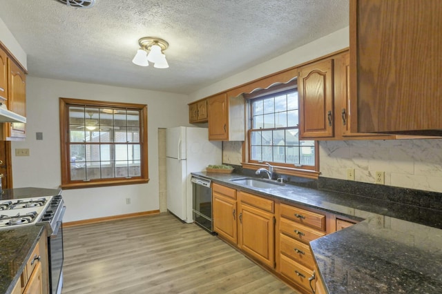 kitchen featuring dishwasher, gas stove, light hardwood / wood-style floors, and sink