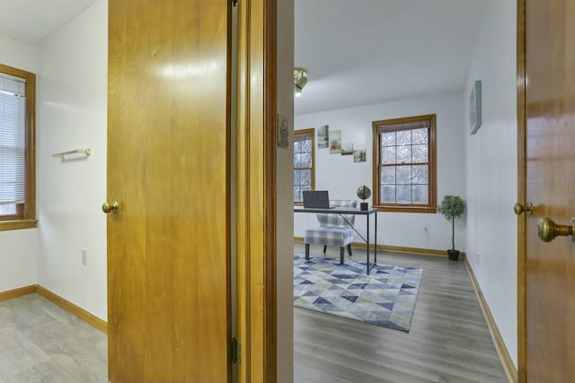 hall with wood-type flooring