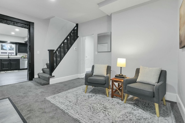 living area featuring carpet and sink