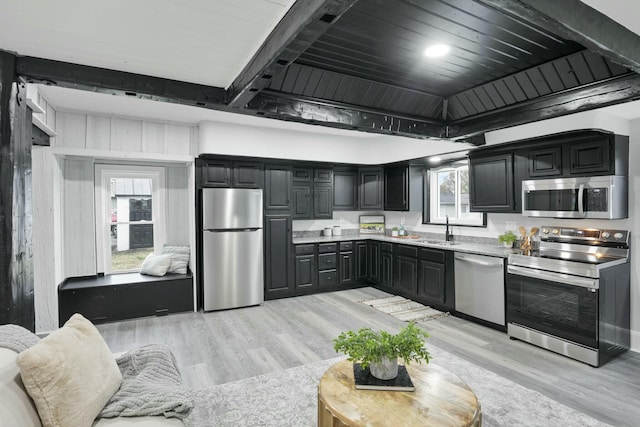 kitchen with a healthy amount of sunlight, stainless steel appliances, and light wood-type flooring