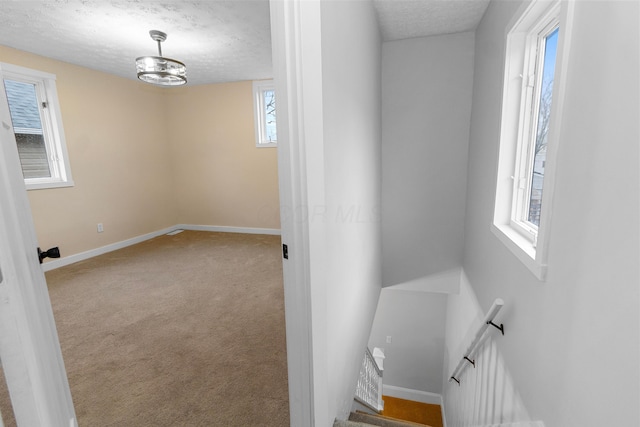 staircase with carpet floors, a healthy amount of sunlight, and a textured ceiling