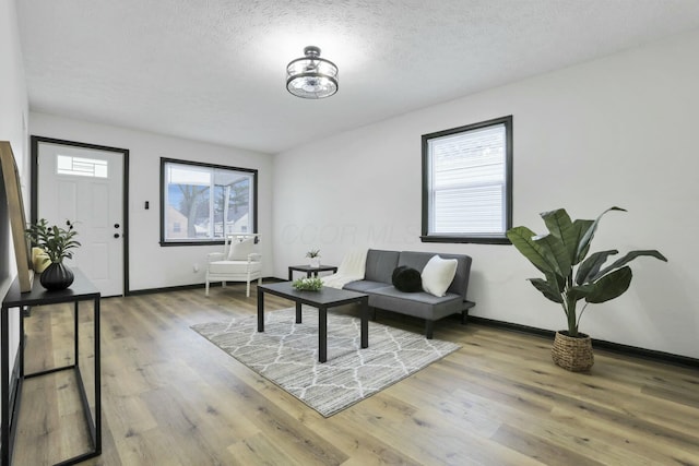 living room with wood-type flooring and a textured ceiling