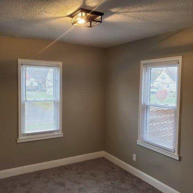 empty room with carpet flooring and a textured ceiling