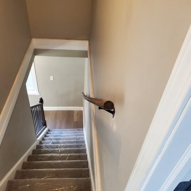 stairway with wood-type flooring