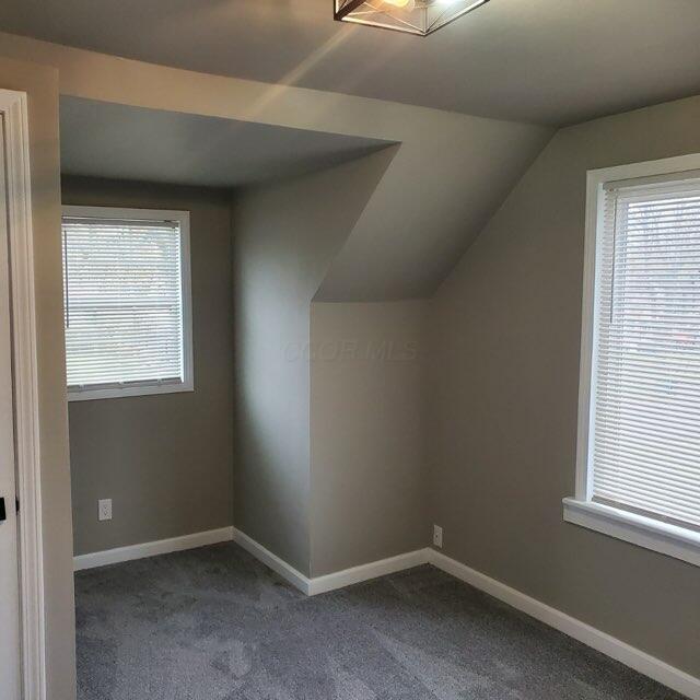 bonus room featuring carpet flooring and lofted ceiling