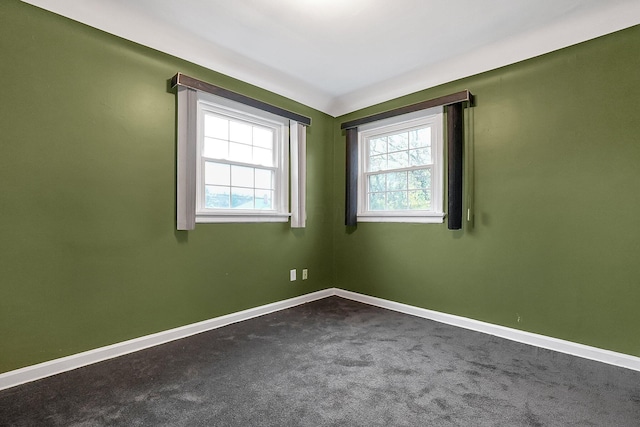 empty room featuring carpet flooring