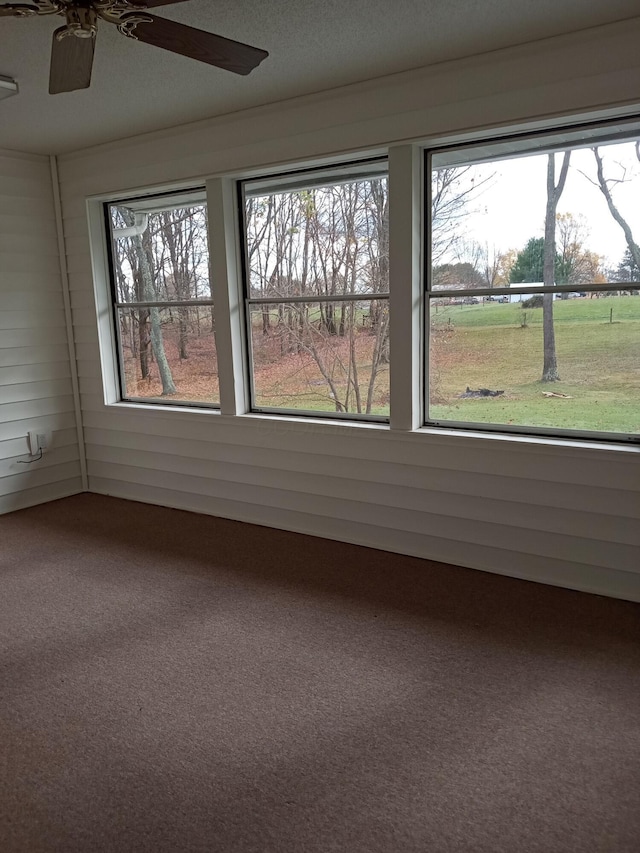 empty room with carpet and a healthy amount of sunlight