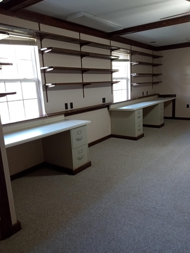 unfurnished office featuring light colored carpet