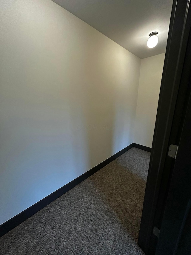 unfurnished room featuring carpet