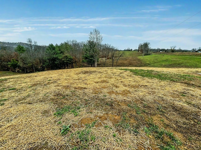 view of yard featuring a rural view