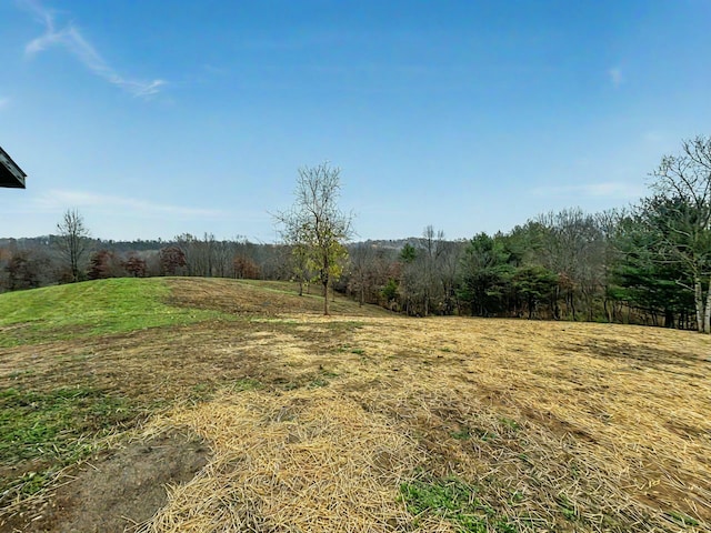 view of yard with a rural view