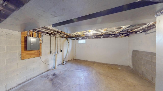 basement with electric panel