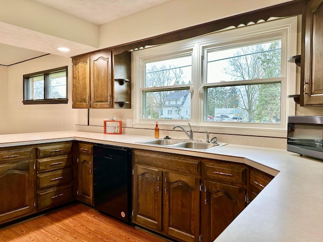 kitchen featuring black dishwasher, a healthy amount of sunlight, light hardwood / wood-style floors, and sink