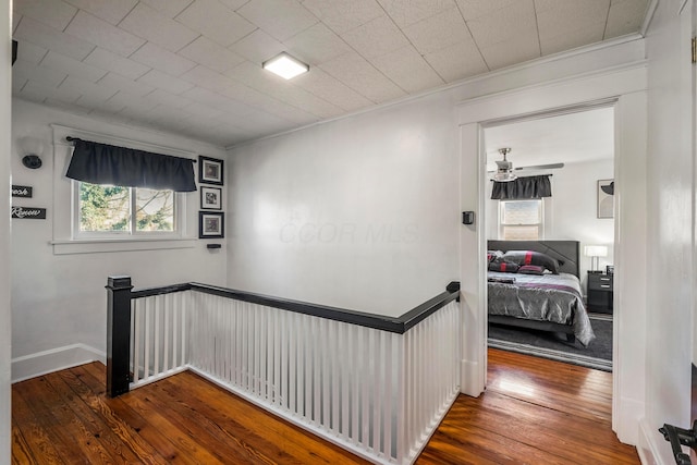 hallway with crown molding and wood-type flooring