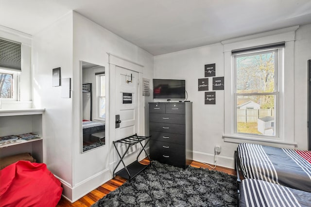 bedroom featuring multiple windows and wood-type flooring