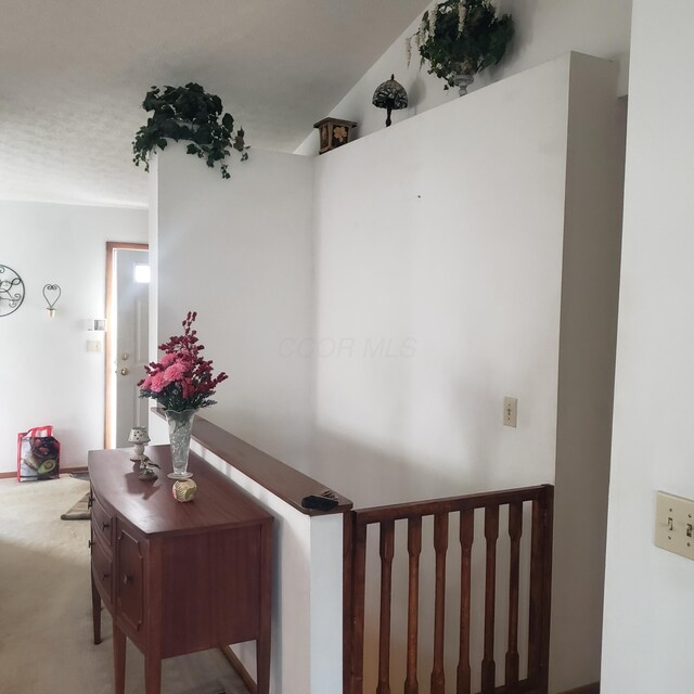 hallway with carpet floors