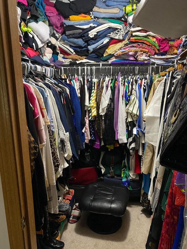 3197 Hogan Way, Columbus, OH 43219 - walk in closet with carpet flooring