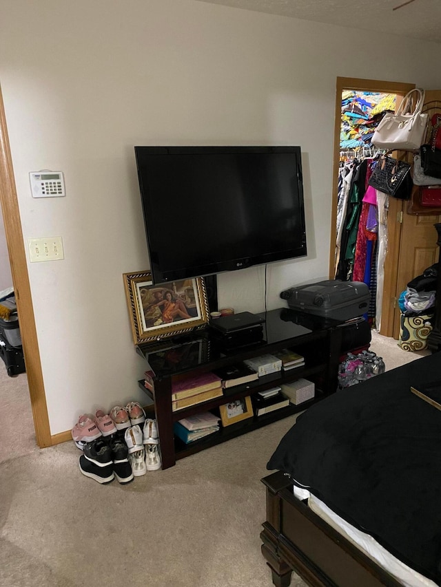 view of carpeted bedroom