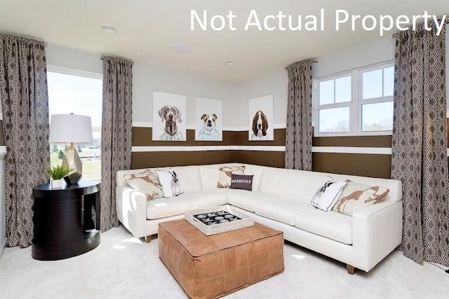 carpeted living room with plenty of natural light