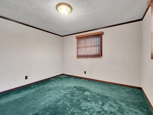 carpeted empty room featuring crown molding and a textured ceiling