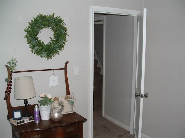 interior space with carpet floors